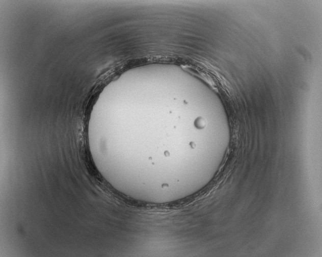 X0000116670964201001041126