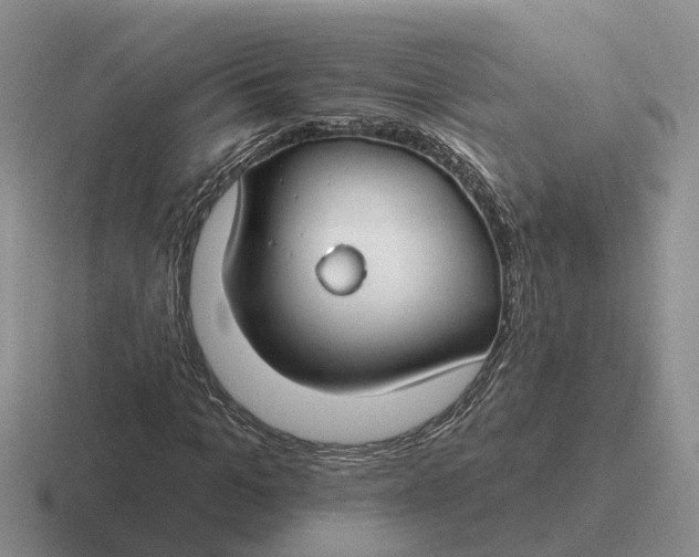 X0000116670965201001041126