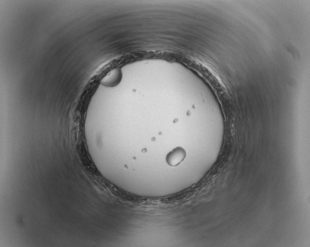 X0000116670968201001041126