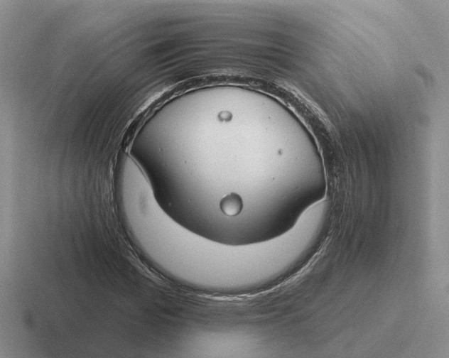 X0000116670969201001041126