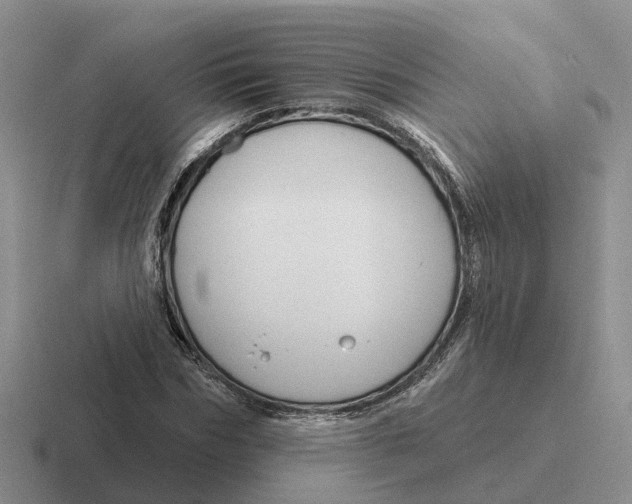 X0000116670970201001041126