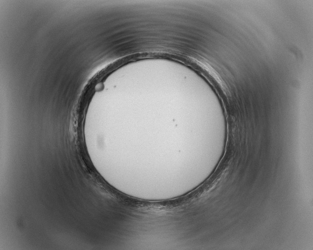 X0000116670971201001041126