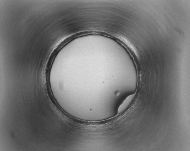 X0000116670972201001041126