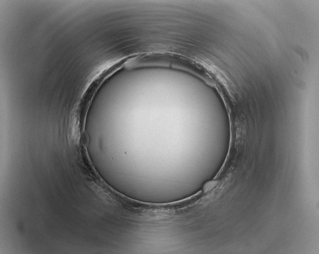 X0000116670973201001041126