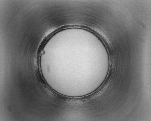 X0000116670974201001041126