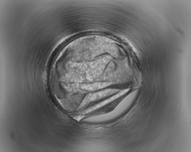 X0000116670975201001041126