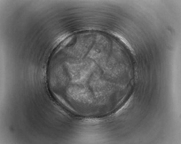 X0000116670977201001041126