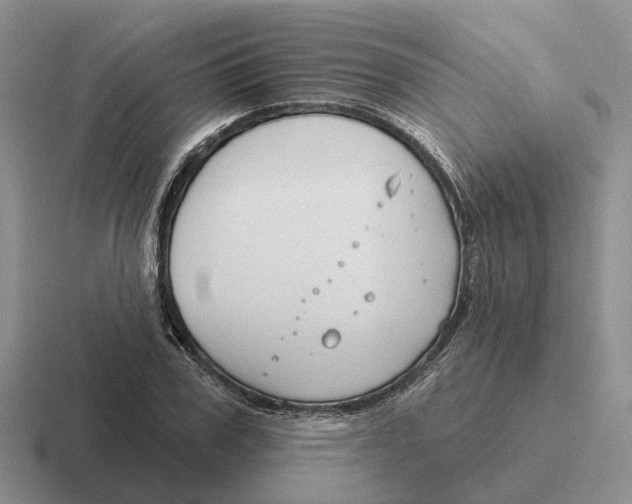 X0000116670979201001041126