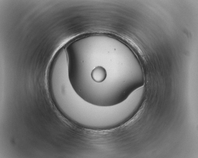 X0000116670981201001041126