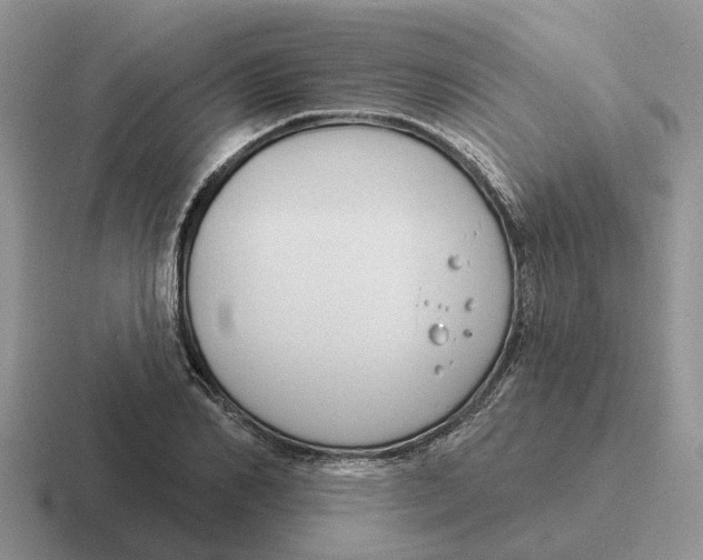 X0000116670982201001041126