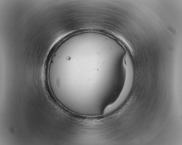 X0000116670983201001041126