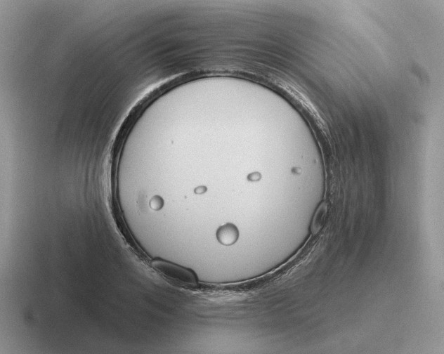 X0000116670984201001041126