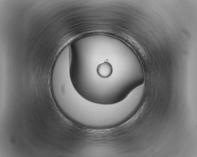 X0000116670985201001041126