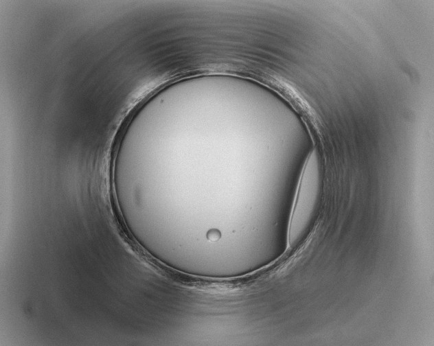 X0000116670986201001041126