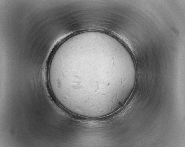 X0000116670987201001041126