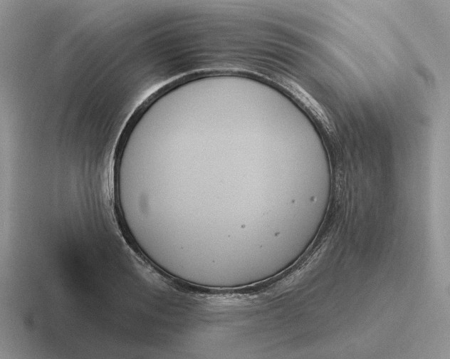 X0000116670988201001041126