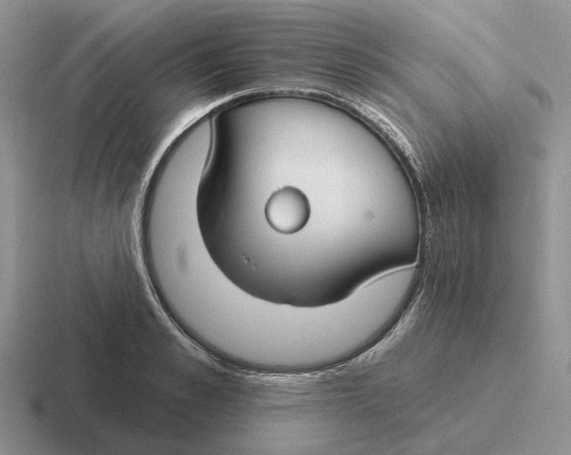 X0000116670989201001041126