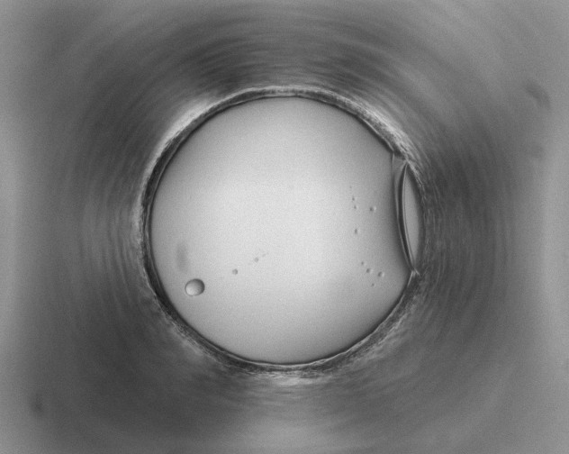 X0000116670990201001041126