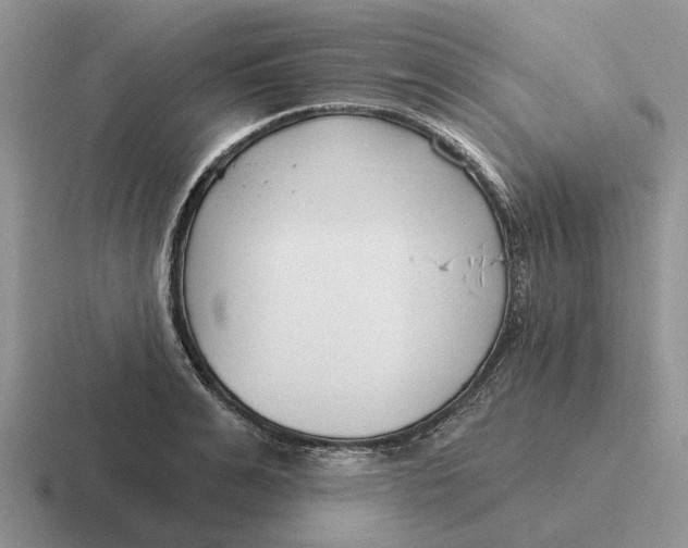 X0000116670991201001041126