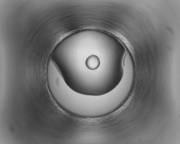 X0000116670993201001041126