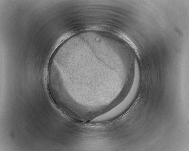 X0000116670994201001041126