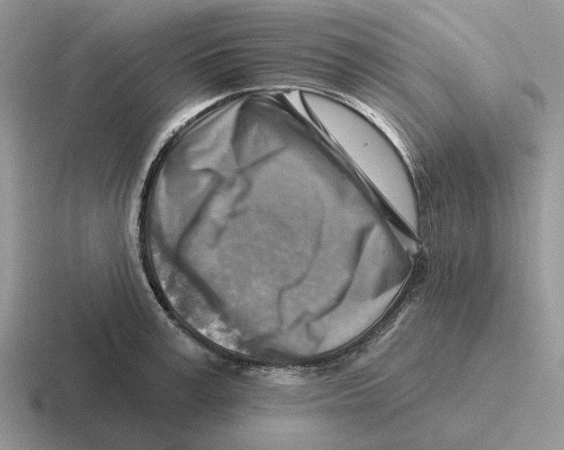 X0000116670995201001041126