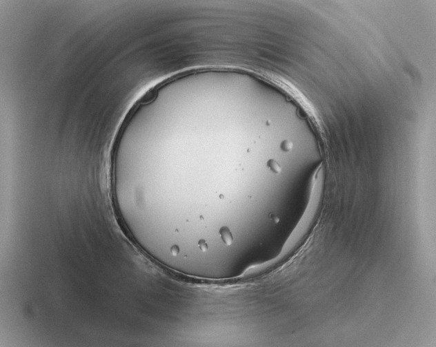 X0000116670996201001041126