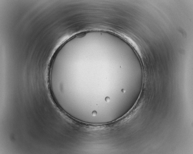 X0000116670997201001041126