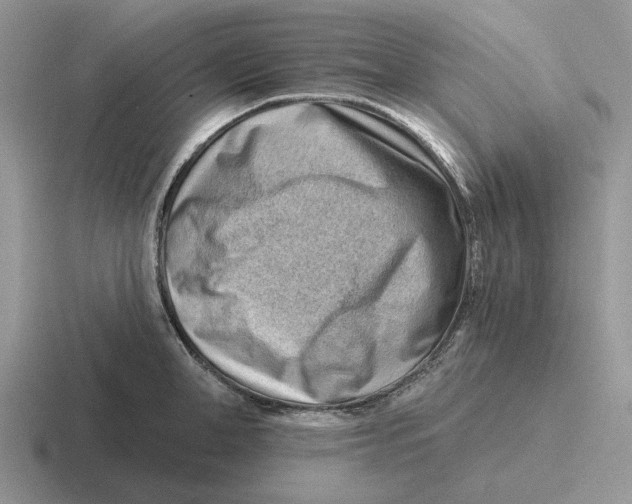 X0000116670998201001041126