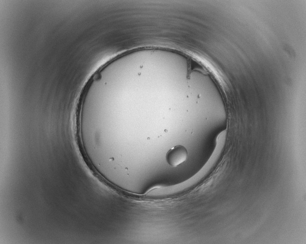 X0000116670999201001041126