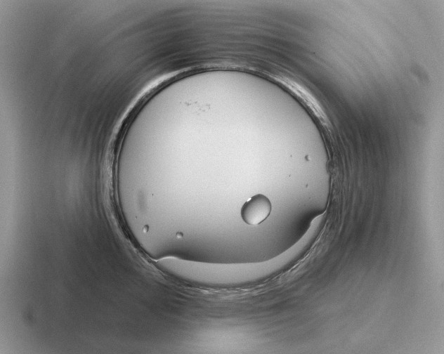 X0000116671000201001041126