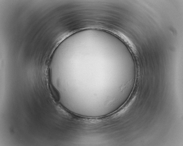 X0000116671001201001041126