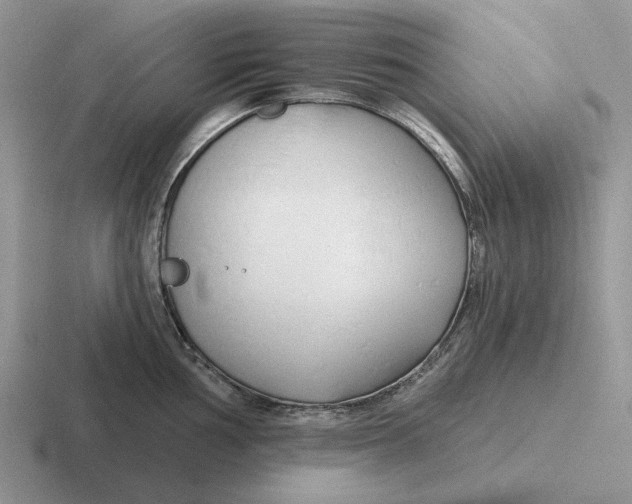 X0000116671002201001041126