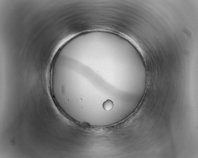 X0000116671003201001041126