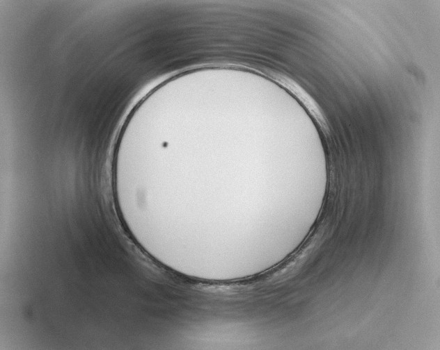 X0000116671004201001041126