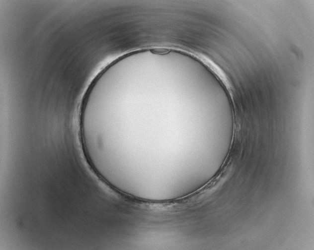 X0000116671005201001041126