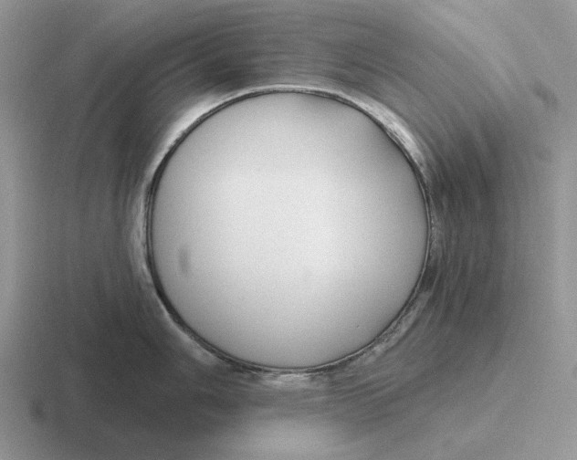 X0000116671006201001041126