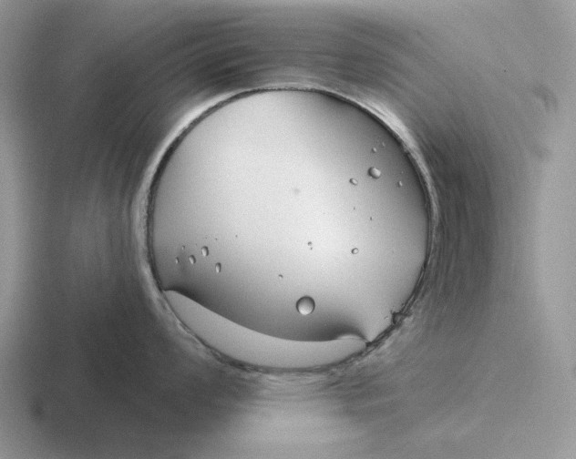 X0000116671008201001041126