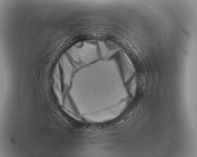 X0000116671009201001041125