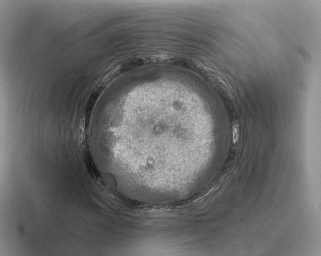 X0000116671011201001041125