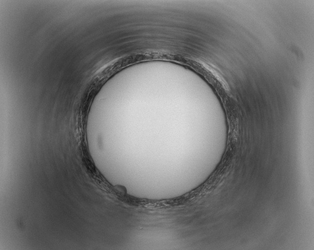 X0000116671015201001041125