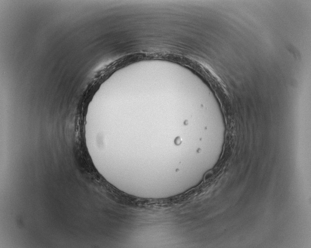 X0000116671016201001041125