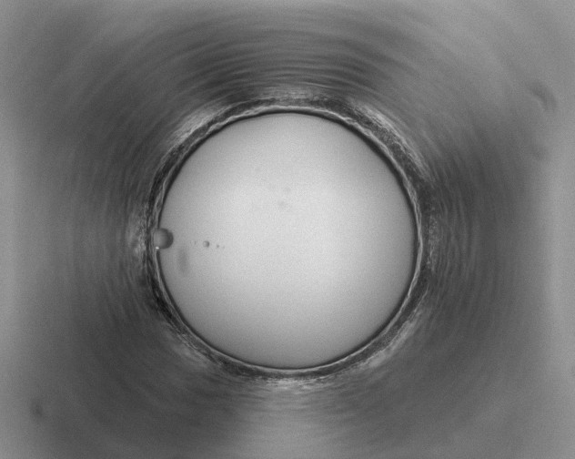 X0000116671017201001041125