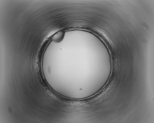 X0000116671018201001041125