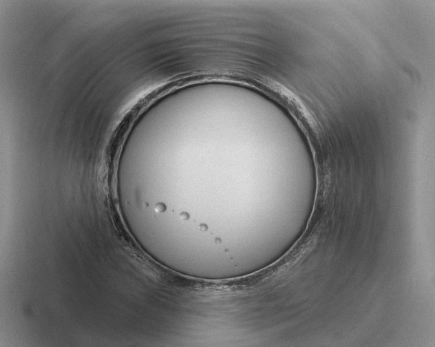 X0000116671019201001041125