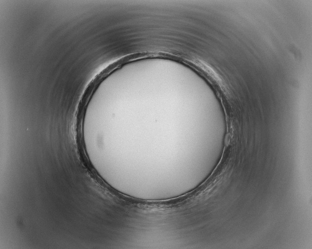 X0000116671020201001041125