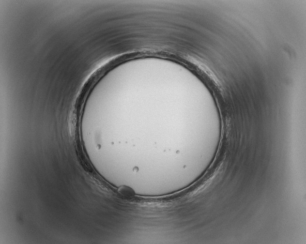 X0000116671021201001041125