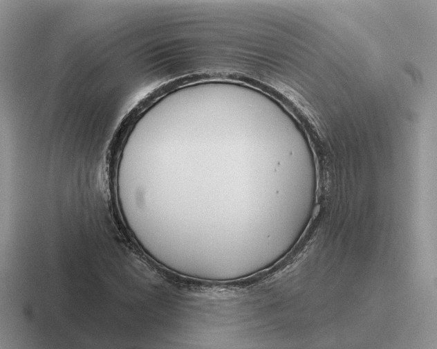 X0000116671022201001041125