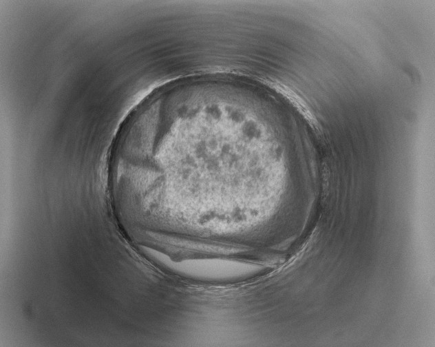 X0000116671023201001041125