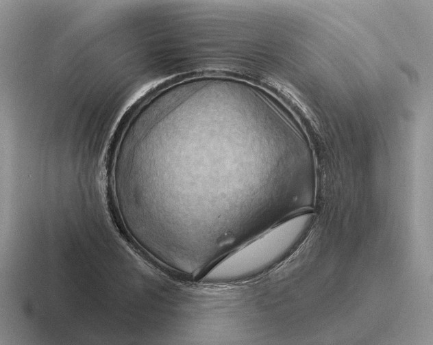 X0000116671024201001041125